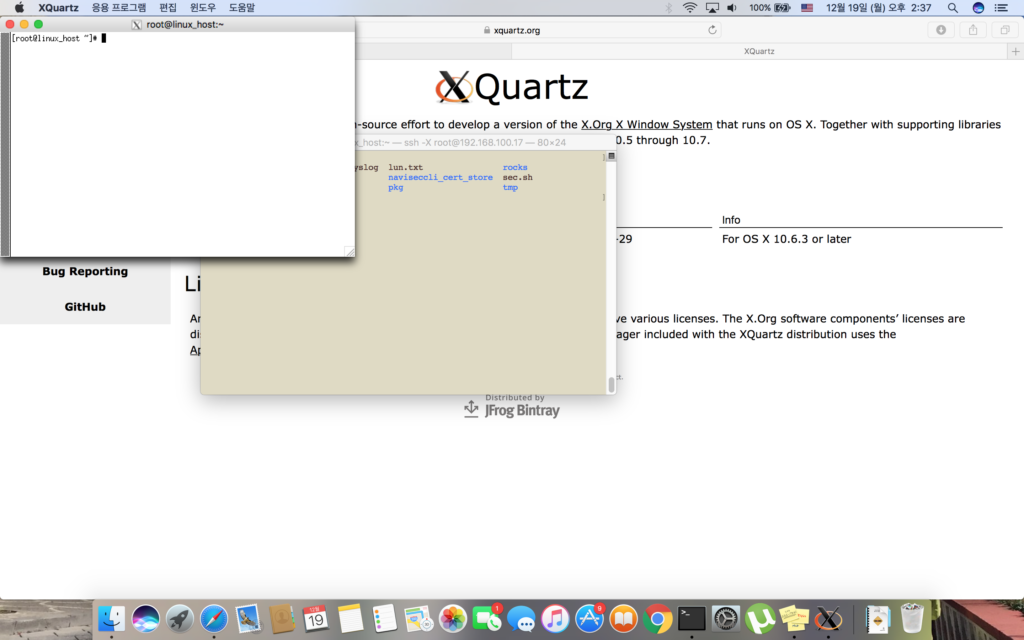 xquartz cannot open display